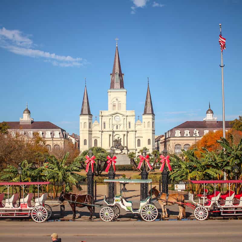 horse and carriages lined up in front of Jackson Square New Orleans