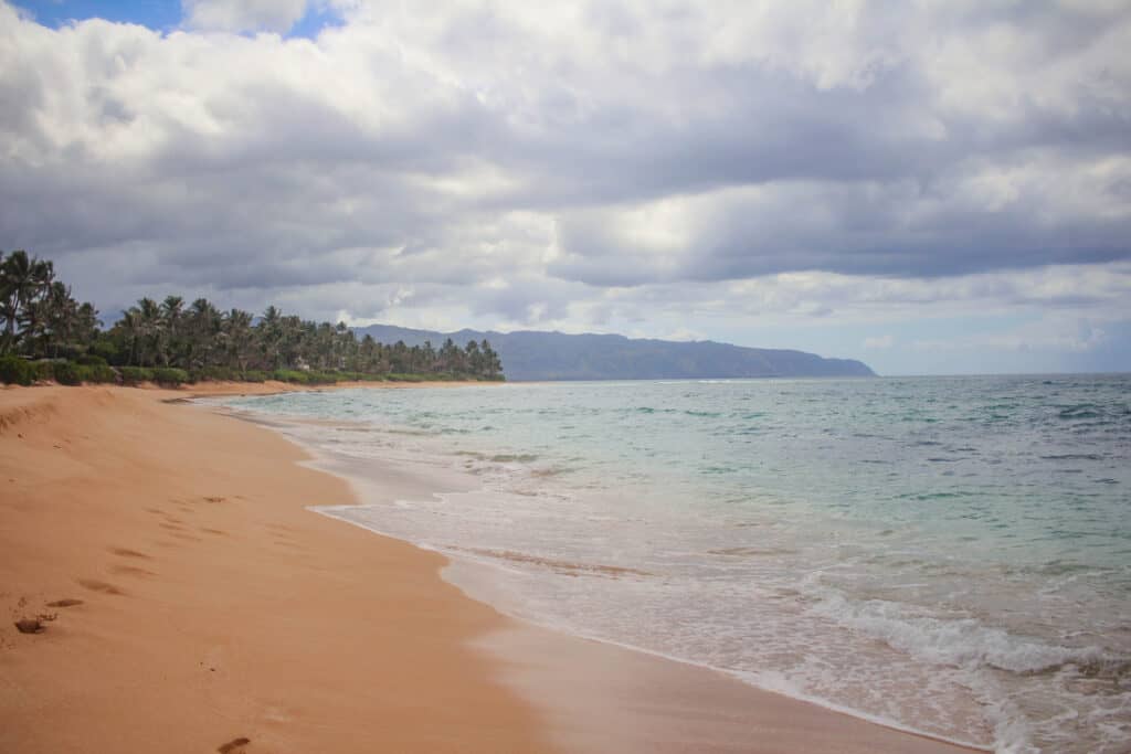 Beautiful beach in Hawaii Laniakea beach