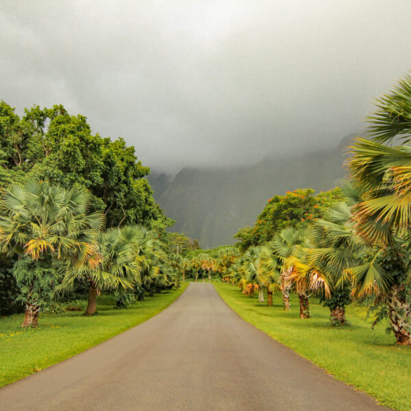 Best Oahu Instagram Spots: a Photography Guide