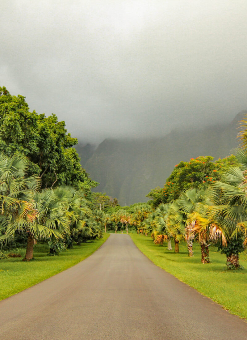 the hoomaluhia botanical garden entrance inoahu