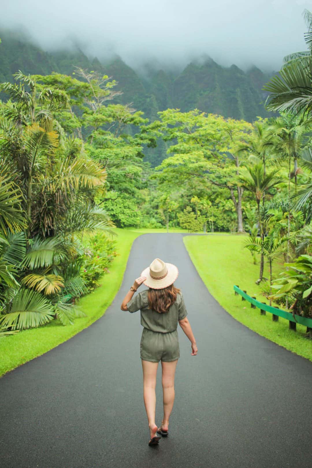 Everything to Know Before Visiting the Ho'omaluhia Botanical Garden in