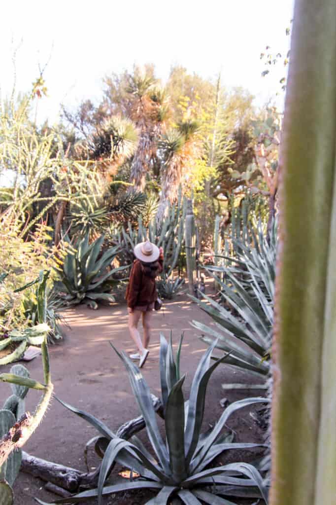 girl standing in succulent garden with towering cacti