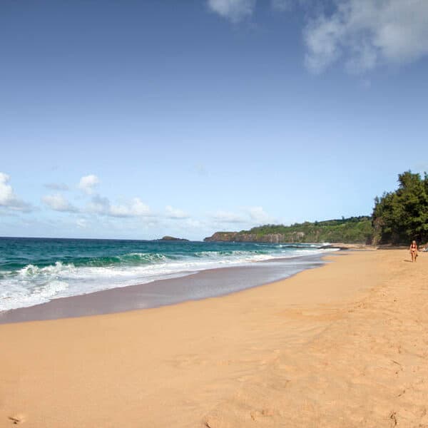 The Ultimate Kauai Travel Guide