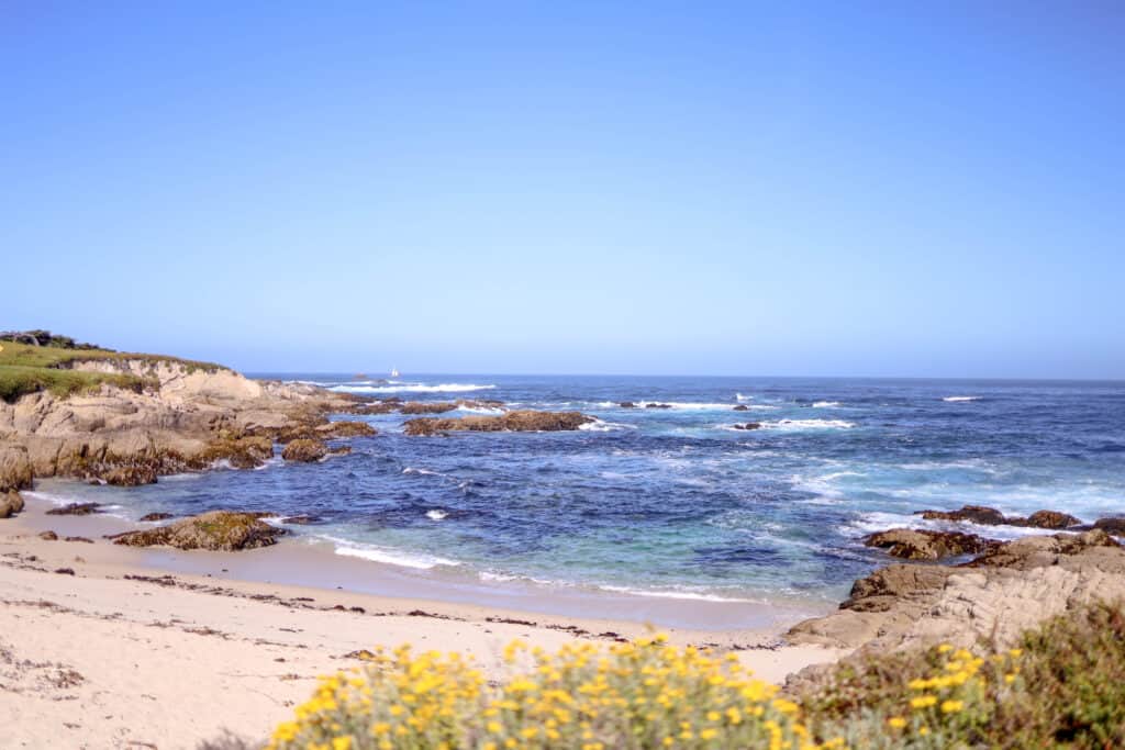 17 mile drive fan shell beach