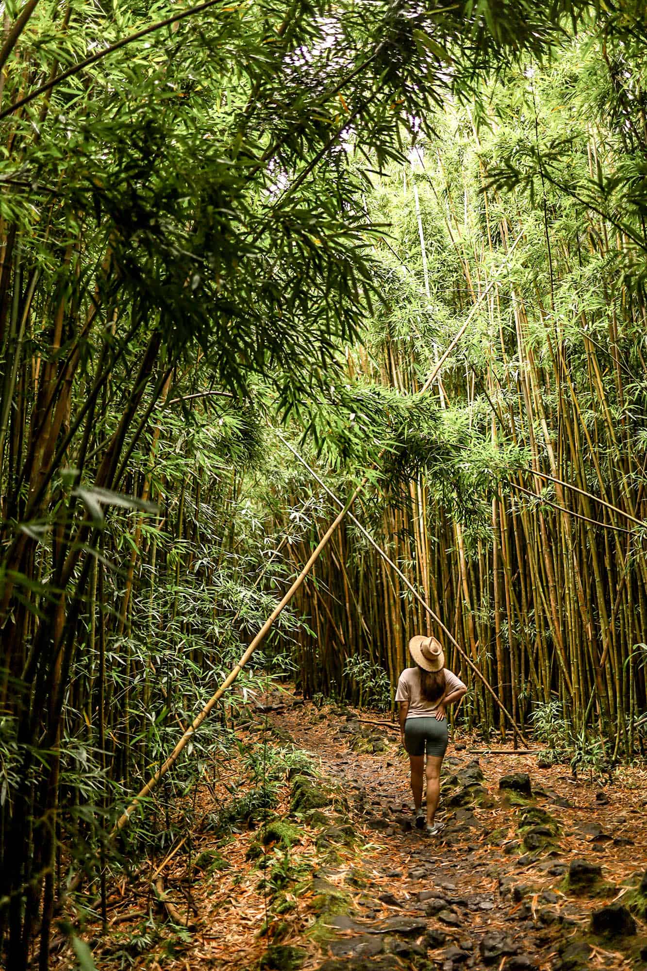 Best Sights on The Road to Hana: A First Timer's Guide · Le Travel