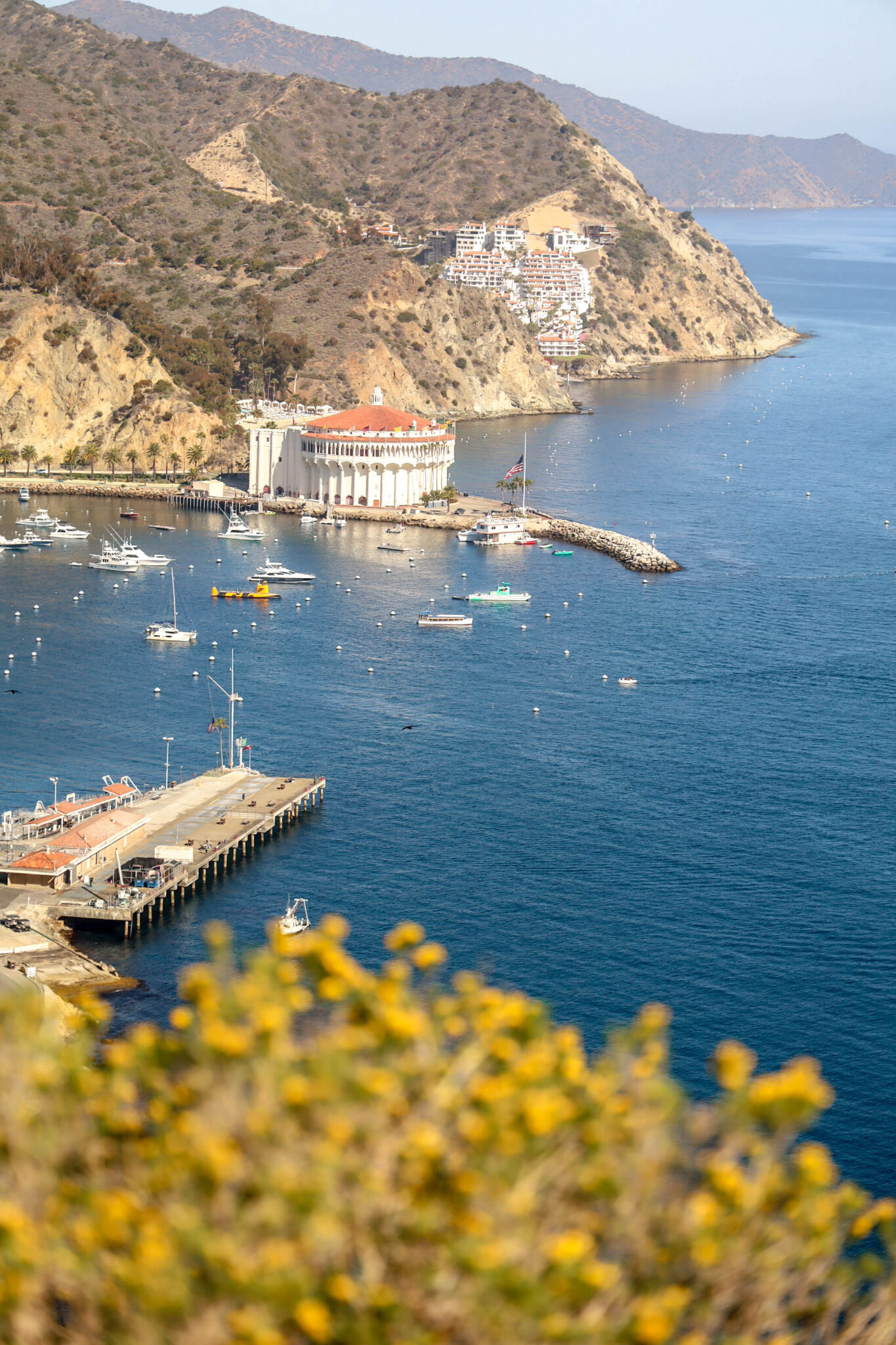 A Complete Guide to Visting Catalina Island · Le Travel Style