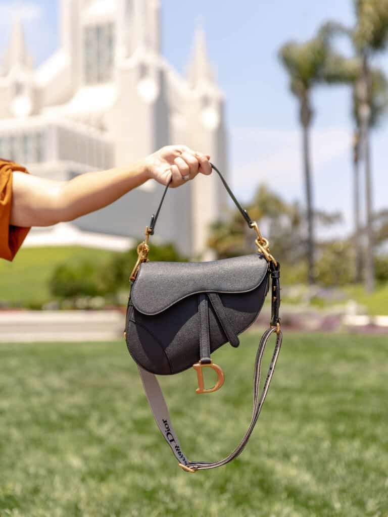 Where to buy a Dior Saddle bag