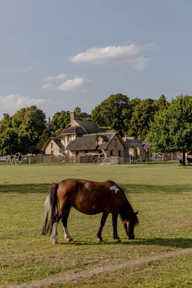 horse on the grounds of the Queens Hamlet in Versailles Garden