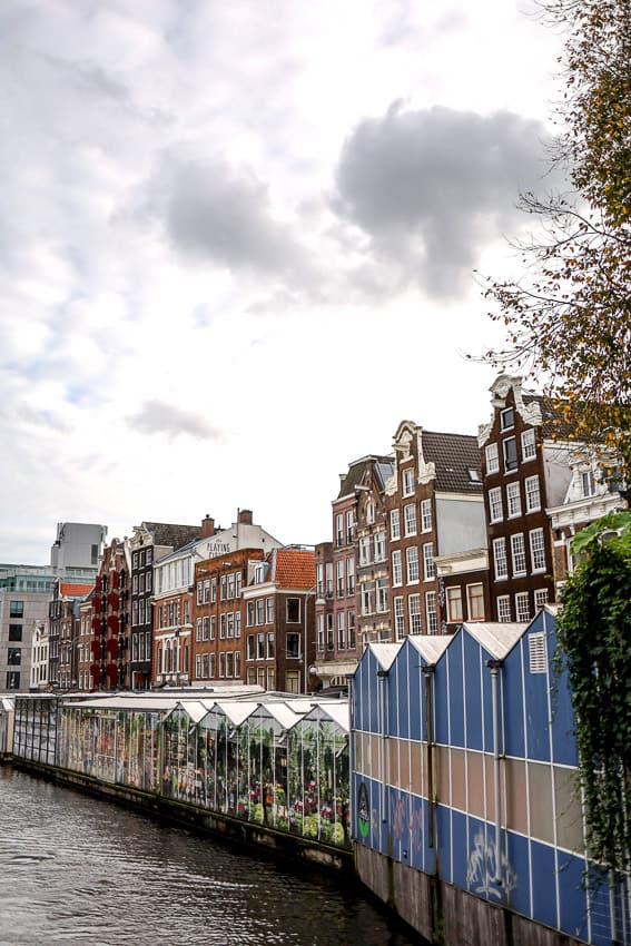 Bloemenmarkt floating flower market in Amsterdam