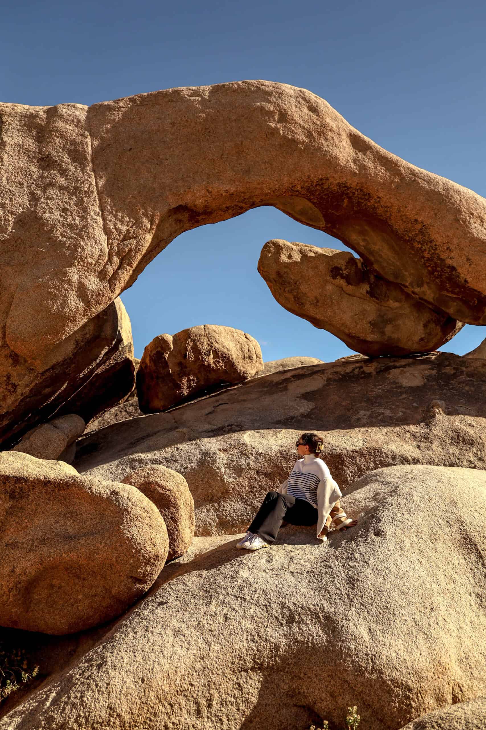 action tour guide joshua tree