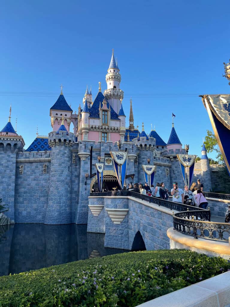 Disneyland Castle in California