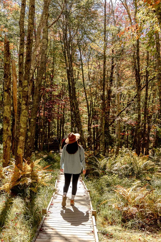 woman walking on Jesup Path in Maine