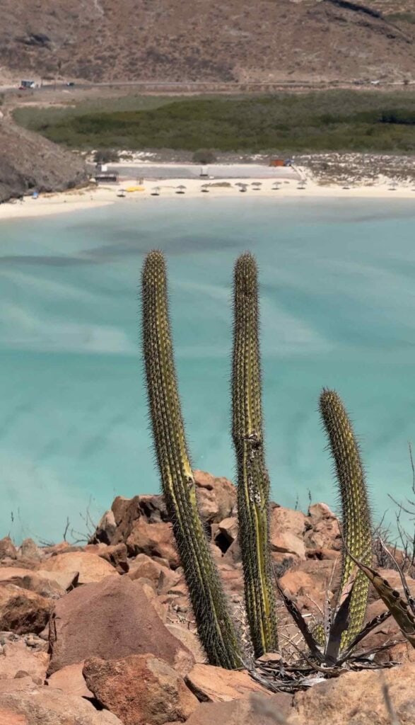 Balandra Beach in La Paz Mexico