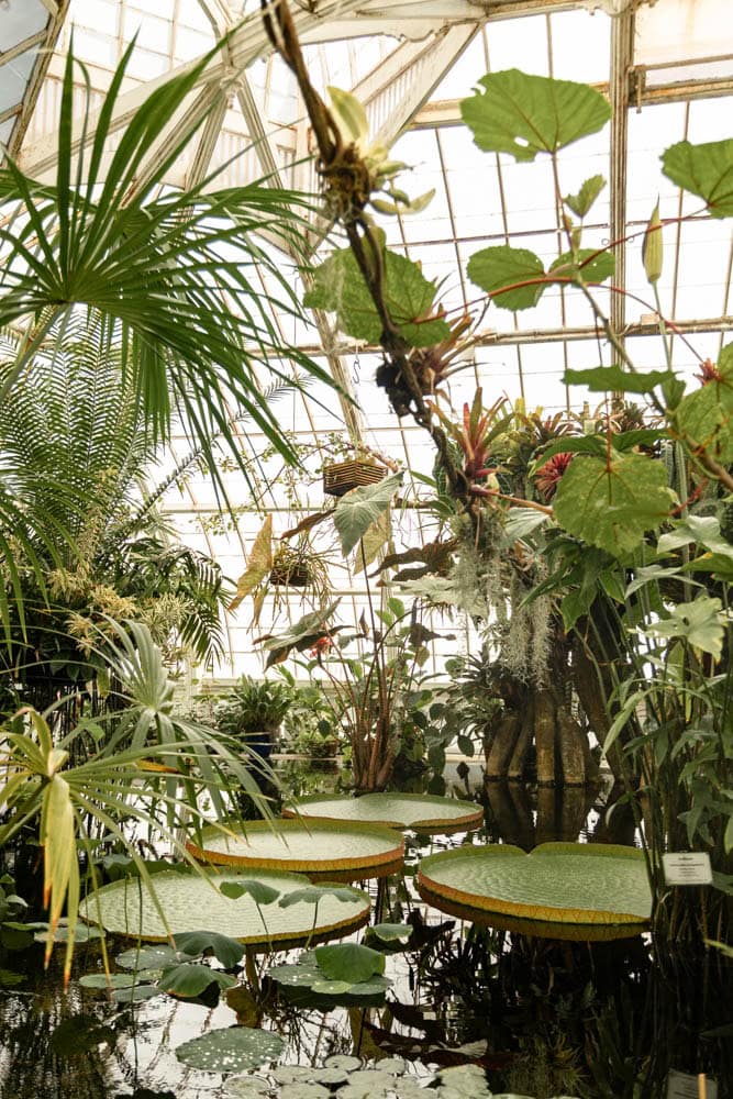 greenhouse in Golden Gate Park San Francisco