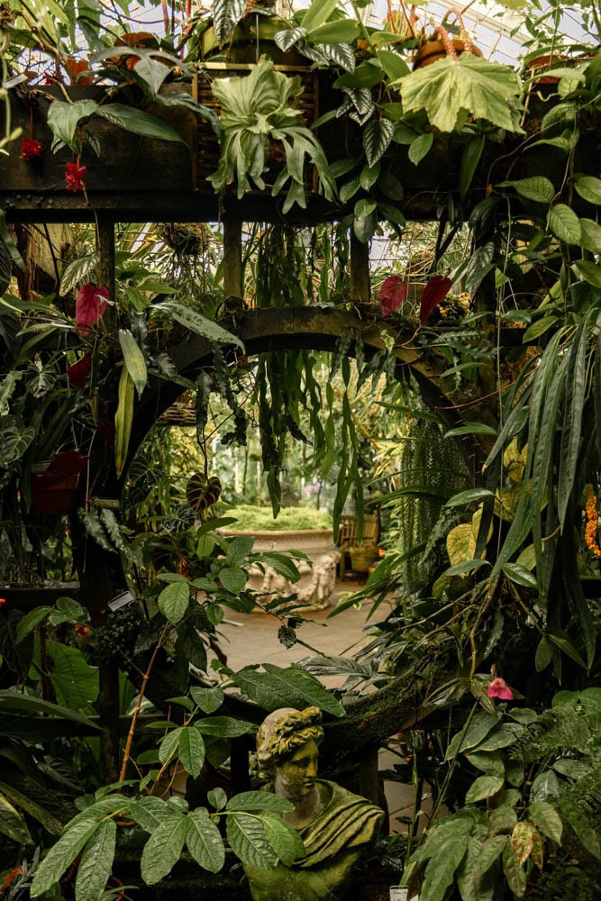 greenhouse in Golden Gate Park