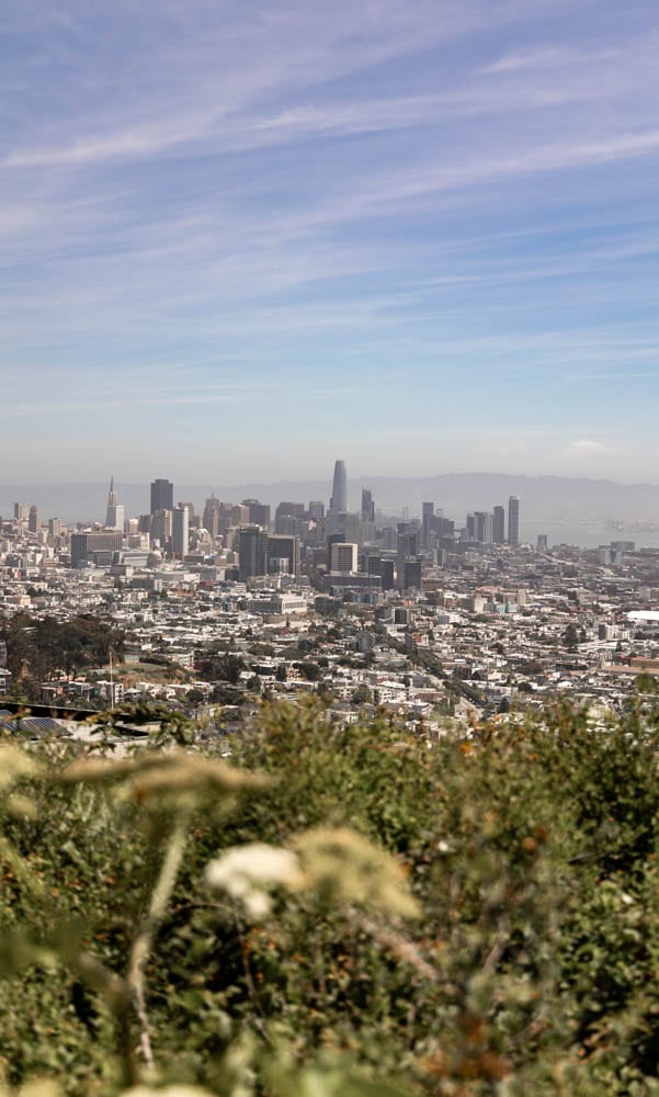 viewpoint of SF Skyline from Twin Peaks