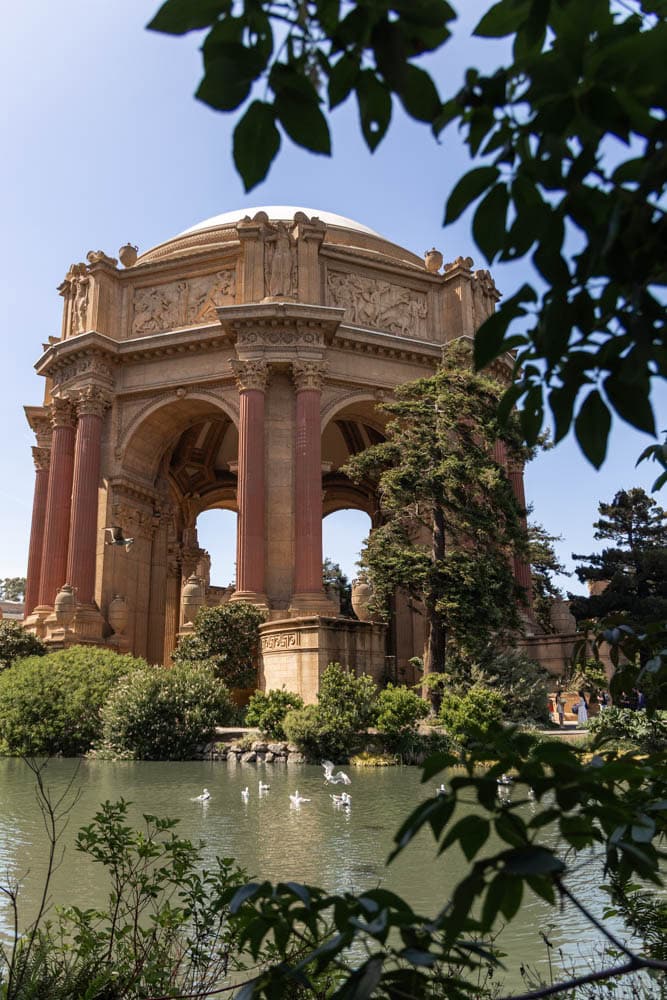 beautiful architecture surrounded by nature at Palace of Fine Arts