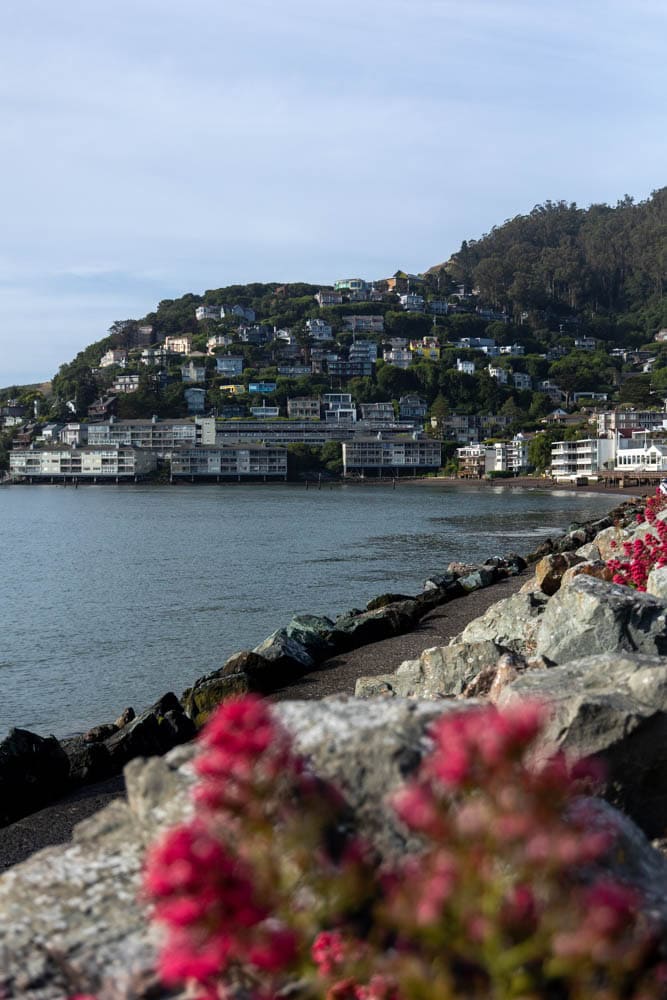 waterfront of Sausalito