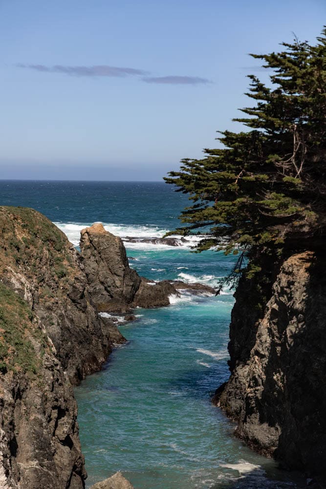 cypress trees and turquoise waters of the Mendocino coast