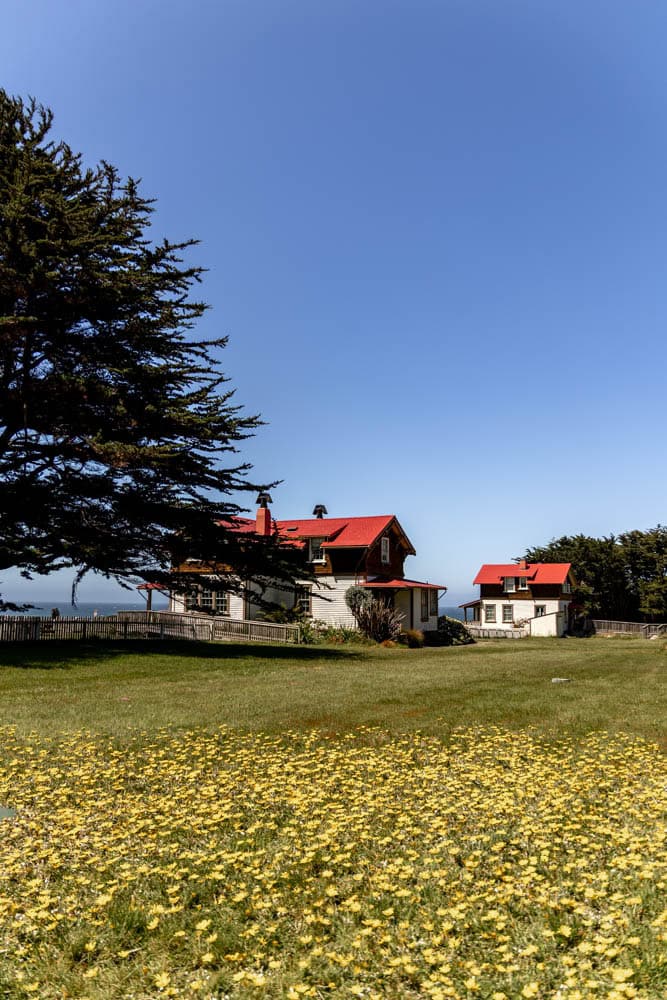 wildflowers in front of cabins at Point Cabrillo Station
