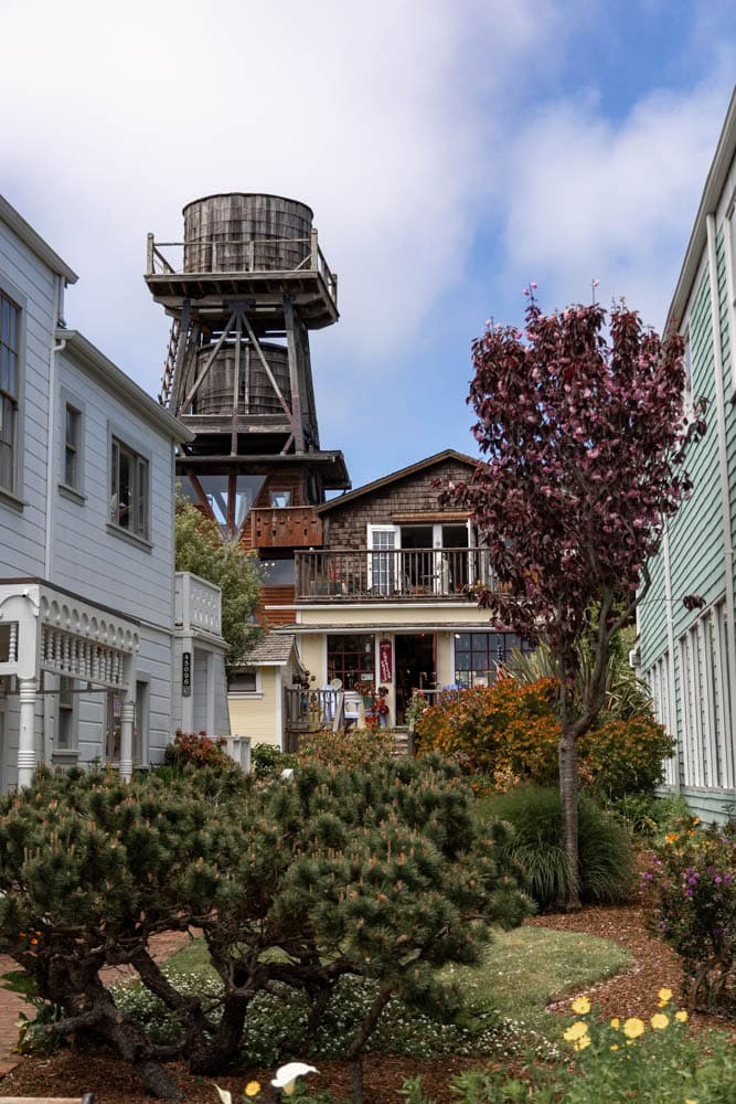 victorian architecture in downtown Mendocino