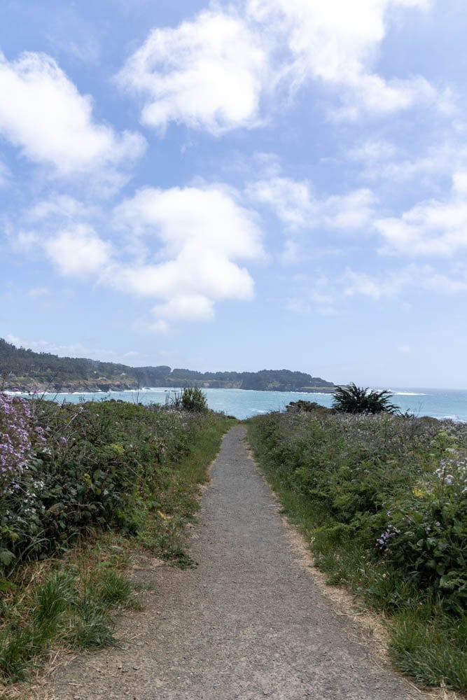 path to the ocean at Mendocino Headlands State Park