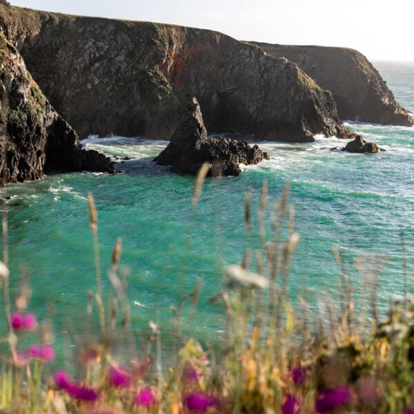 15 Amazing Things to Do in Mendocino, California