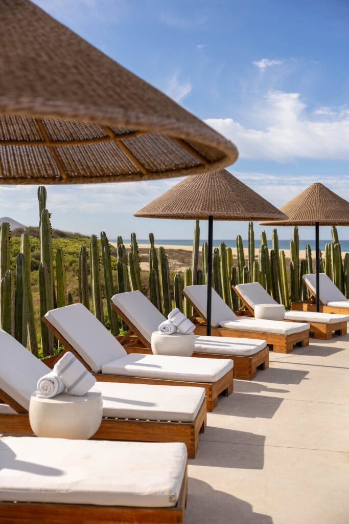 beautiful pool surrounded by cactus in Todos Santos