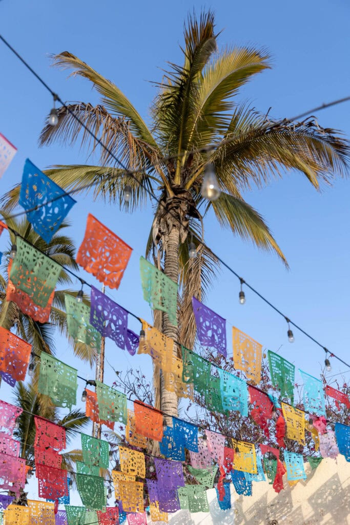 colorful flags and palm trees