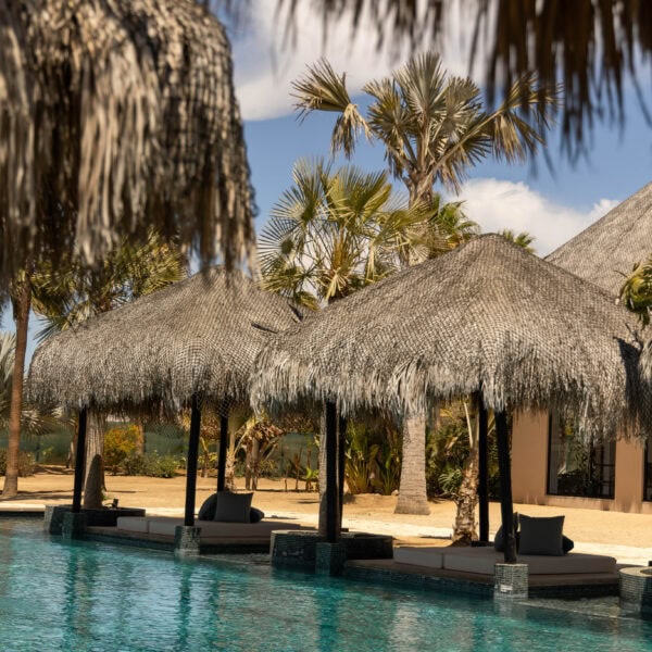 An Ultimate Guide to The Best Things to Do in Todos Santos