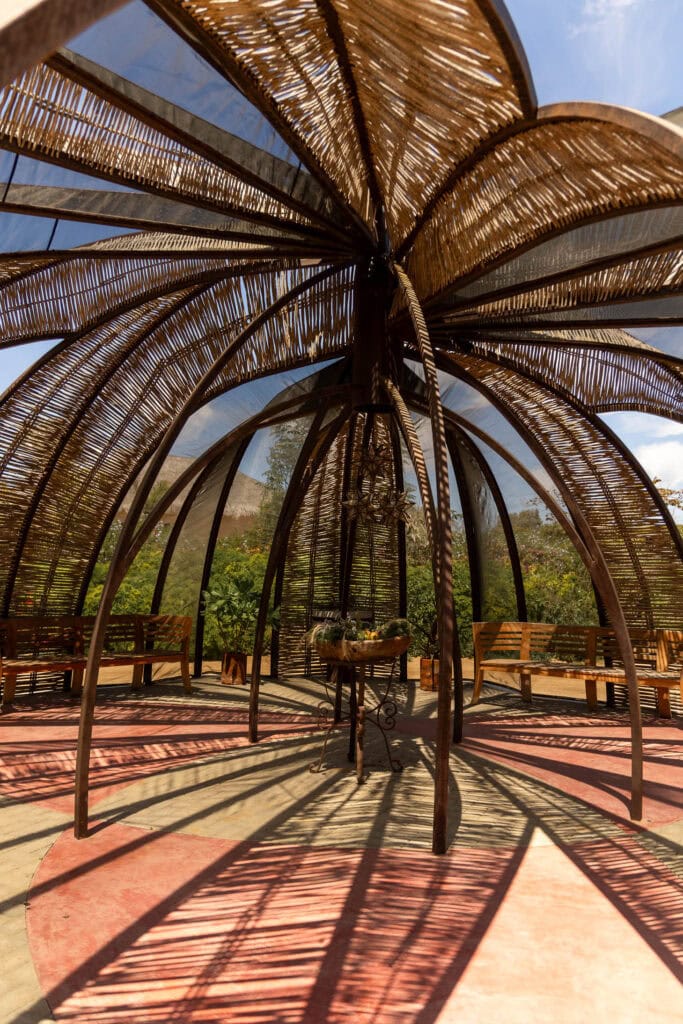 unique greenhouse structure in Todos Santos