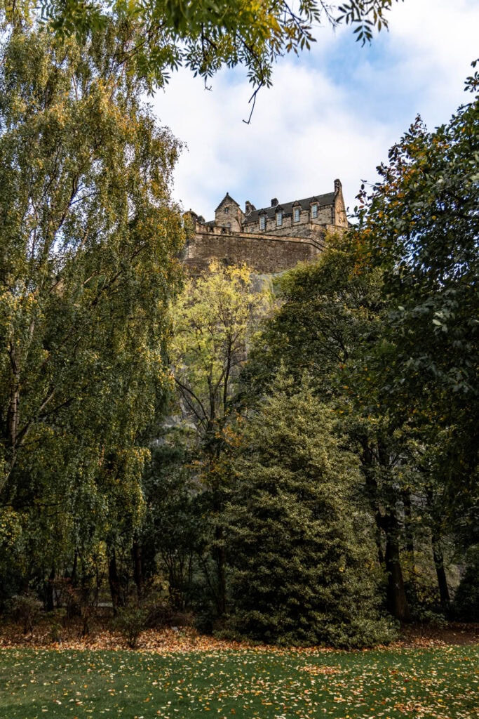 Foliage surrounding castle perched on a hill