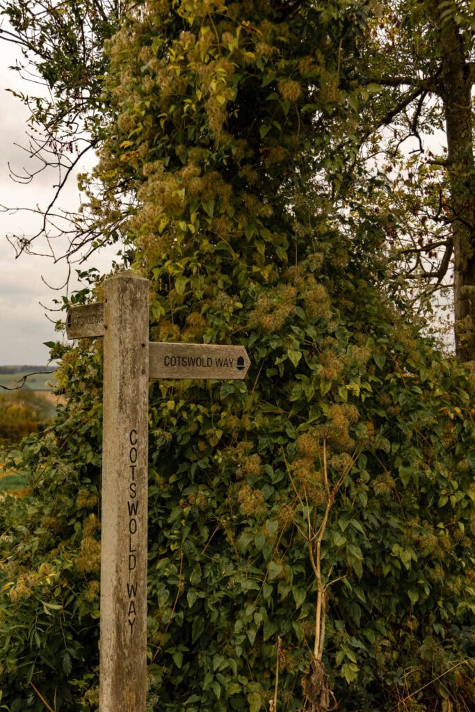 Photograph of a wooden signpost for Cotswold Way surrounded by lush greenery and foliage, showcasing scenic rural England for travel and outdoor adventure enthusiasts.