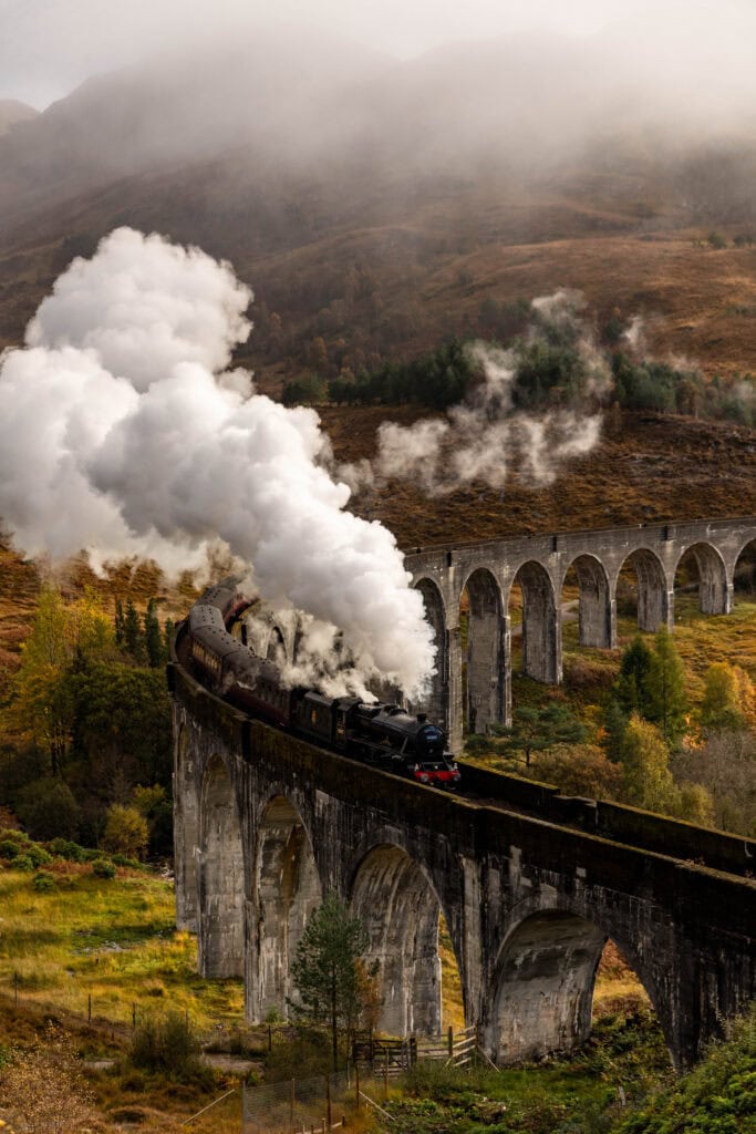 Steam train on historic railway bridge surrounded by autumn foliage in nature.