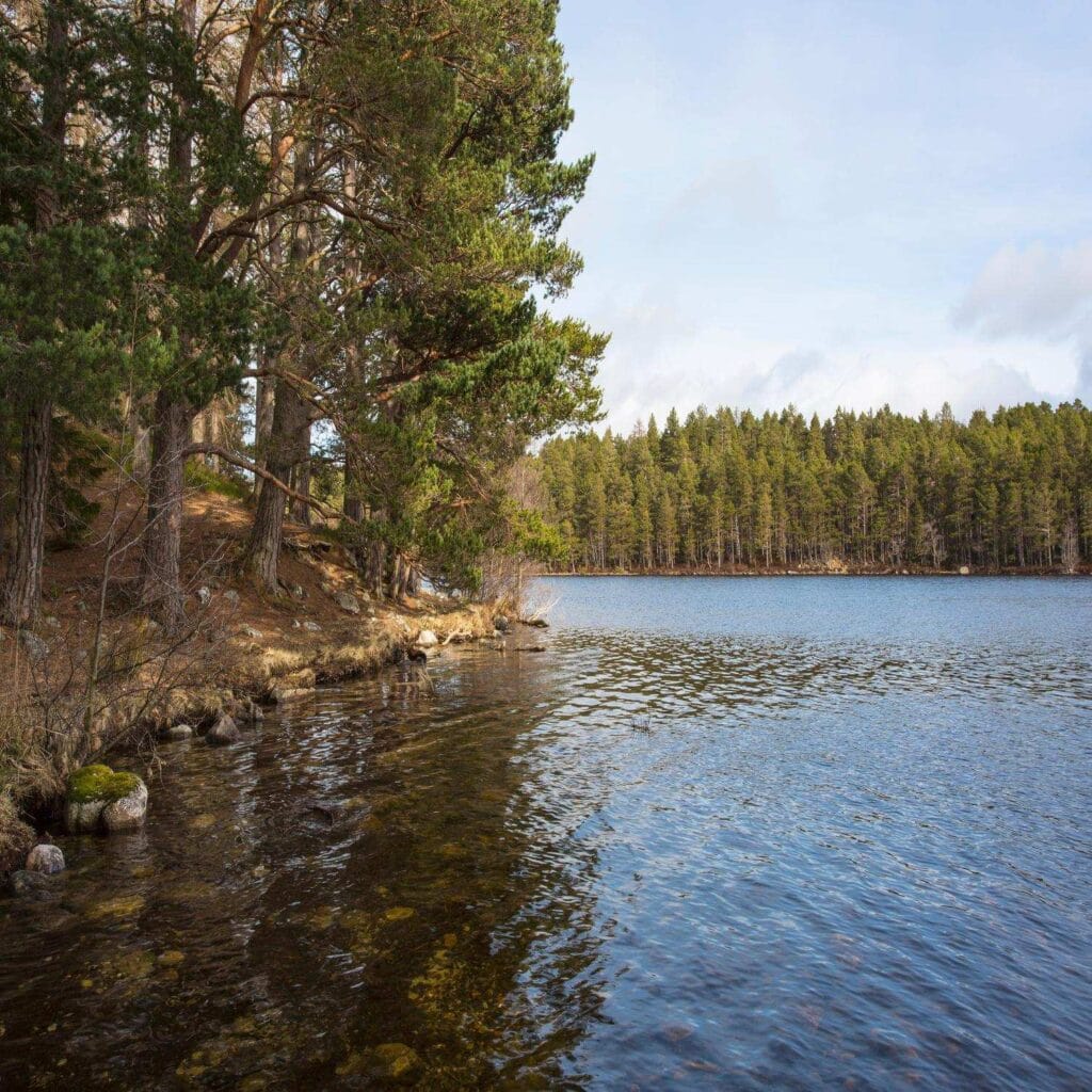 Rothiemurchus Forest and Loch an Eilein, Aviemore