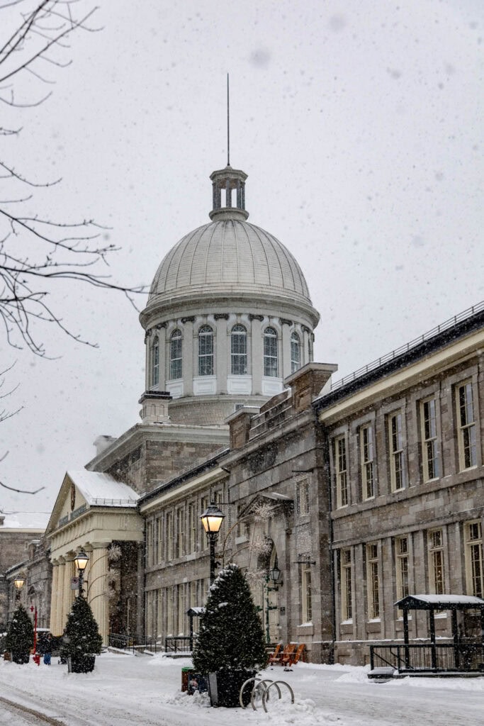 Historic government building with a large dome during snowfall, surrounded by snow-covered trees and.