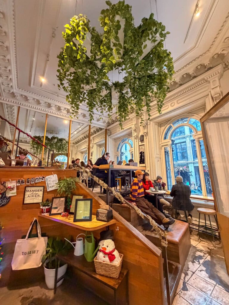 Cozy café interior featuring lush hanging plants, large arched windows, and a warm, inviting atmosph.