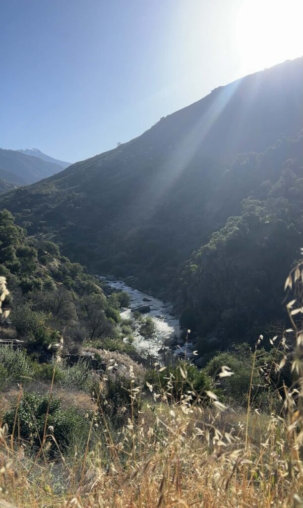 Scenic mountain river flowing through lush green valley under bright sunlight.