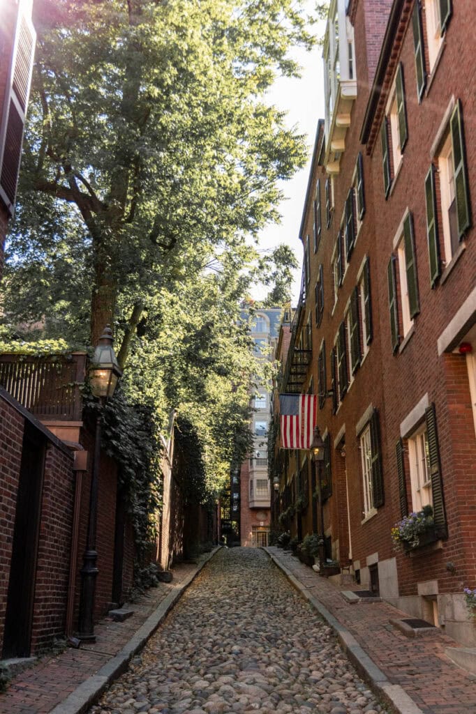 Scenic cobblestone alley with brick buildings and lush trees in historic neighborhood.