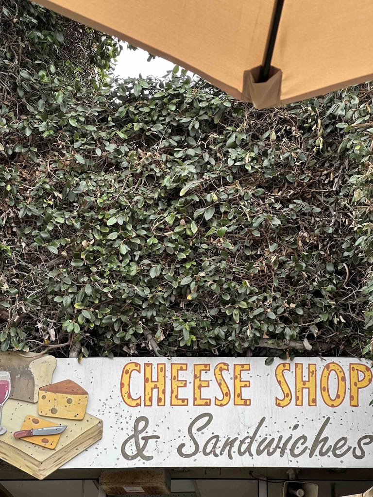 Cheese shop and sandwiches sign with cheese illustrations and inviting text. Perfect for food and de.
