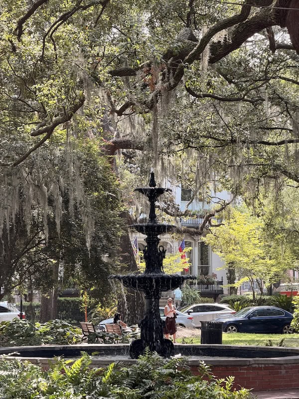 Old ornate fountain in a city park with trees and cars in background.